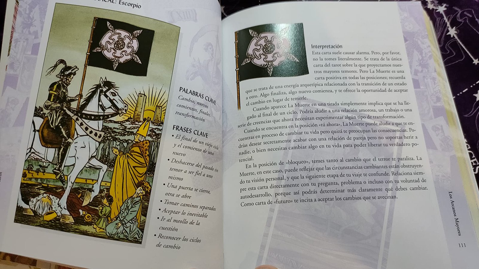 La Biblia del Tarot - La-Tarotca - la Muerte