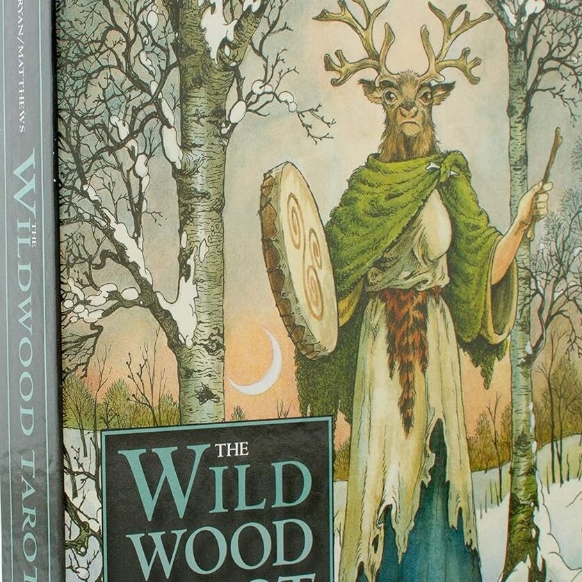 Wildwood Tarot Libro y Baraja en Ingles Mini - La Taroteca